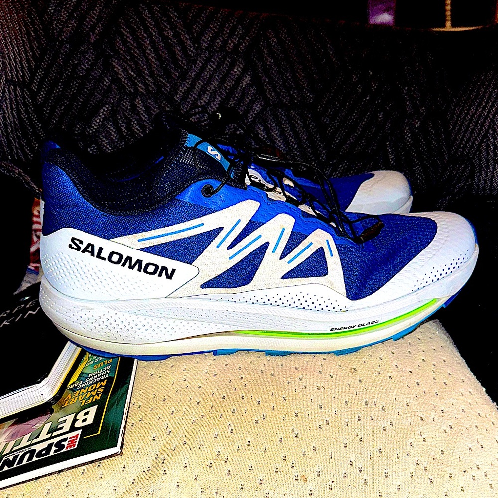 Salomon high end trail shoes. Little wear and tear.